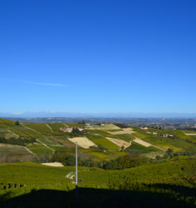 Azienda Agricola Bosio Luigi