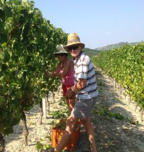 Azienda Agricola Bosio Luigi