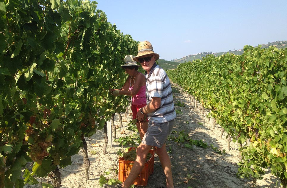 Azienda Agricola Bosio Luigi