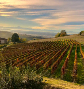 Azienda Agricola Bosio Luigi