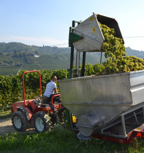 Azienda Agricola Bosio Luigi